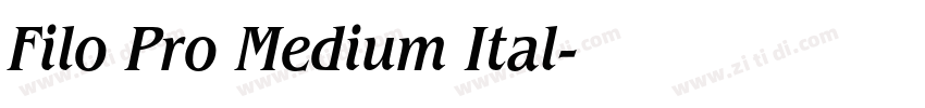 Filo Pro Medium Ital字体转换